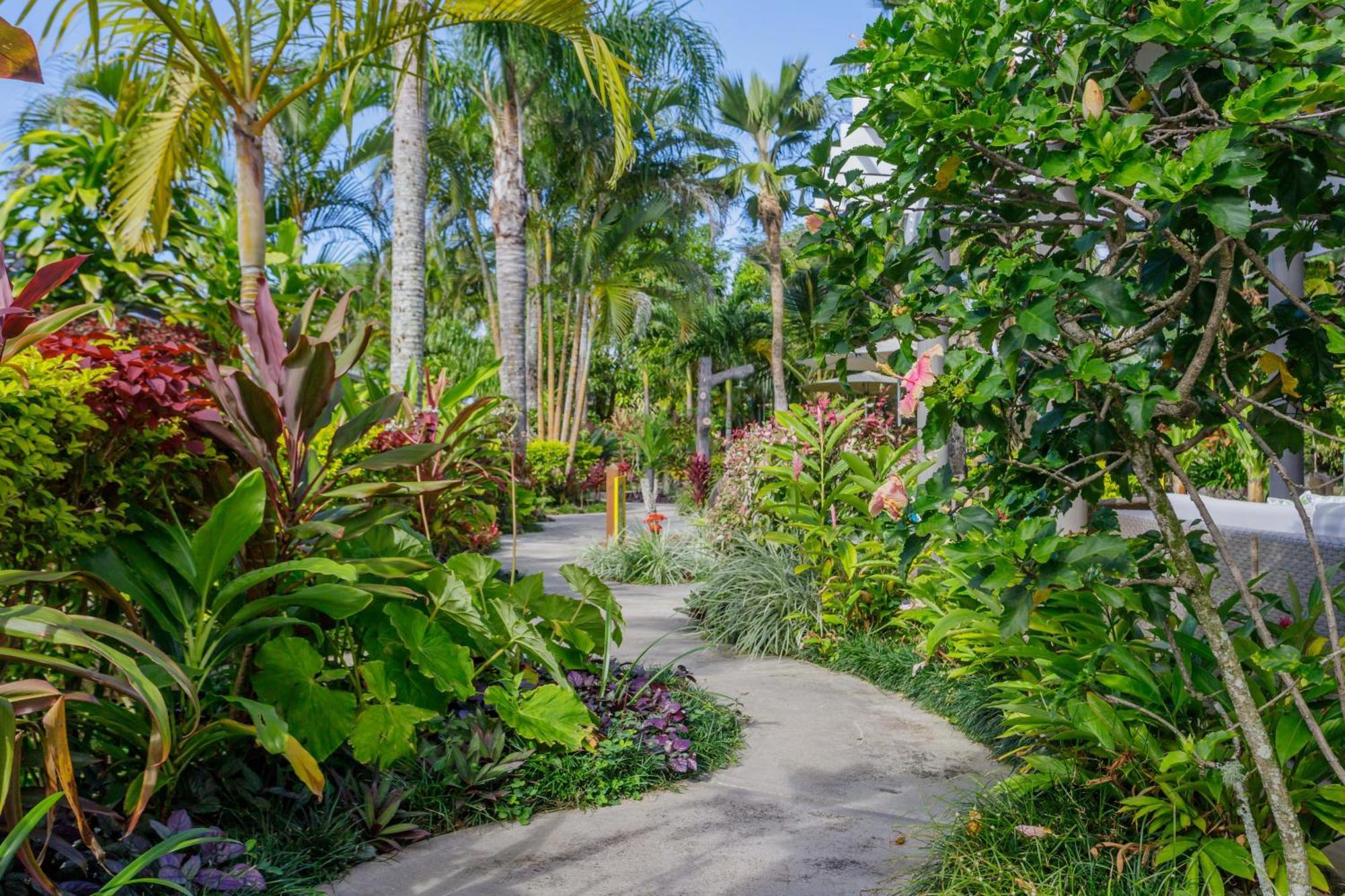 Rarotonga Daydreamer Escape Bagian luar foto
